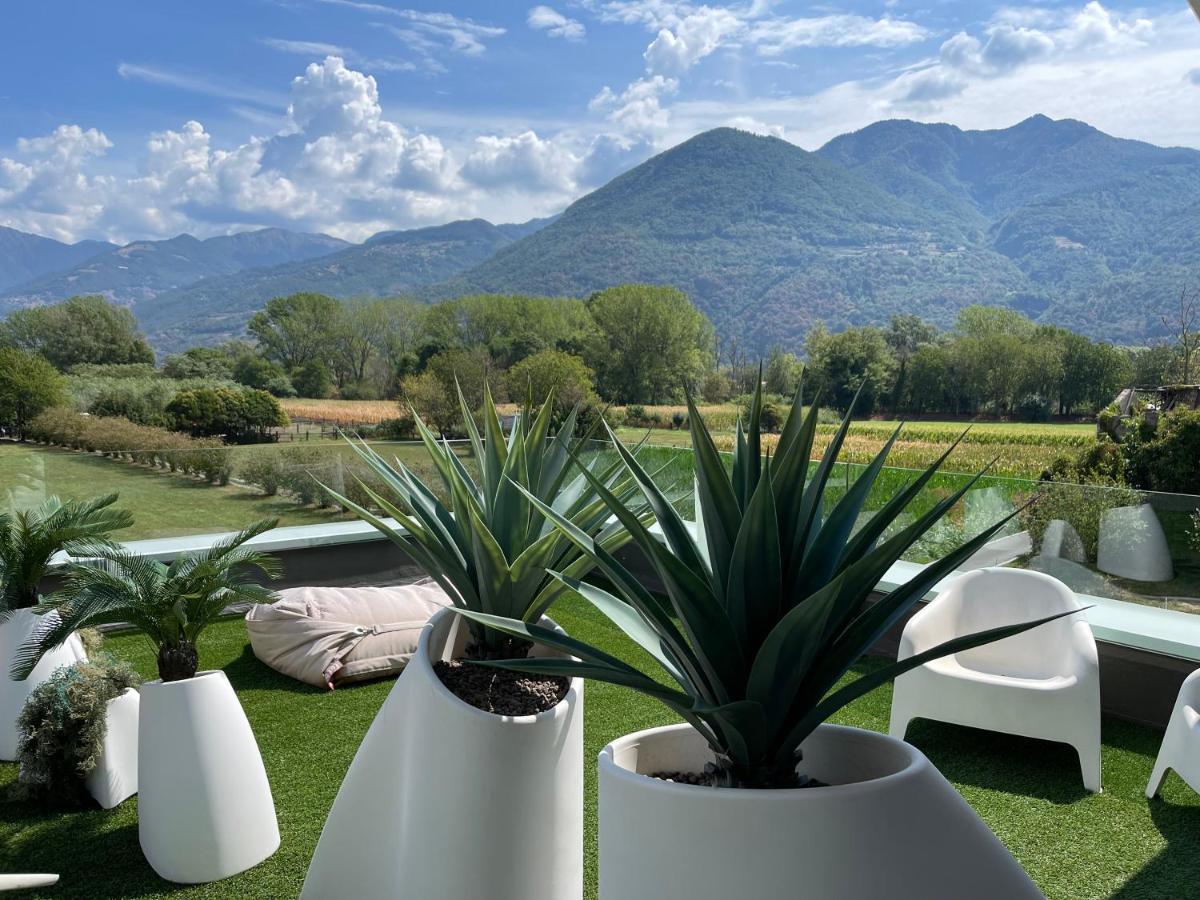 Art B&B Design Costa Volpino Eksteriør bilde