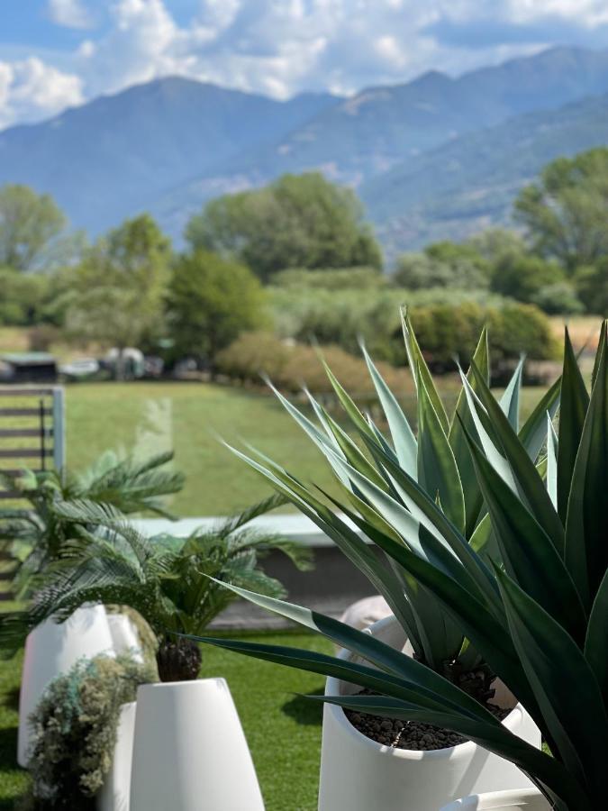 Art B&B Design Costa Volpino Eksteriør bilde